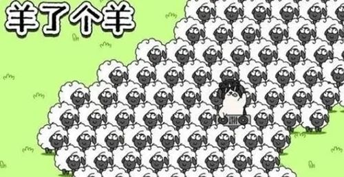 羊了个羊11月11日每日一关通关流程-羊了个羊11.11关卡攻略