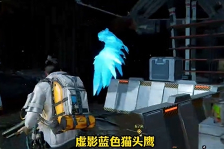 星球重启蓝色猫头鹰虚影宝箱位置图文介绍