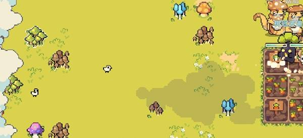 幻兽大农场赚钱攻略技巧-幻兽大农场怎么赚钱快