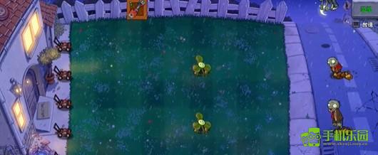 《植物大战僵尸杂交版》伪装的三叶草闪卡介绍