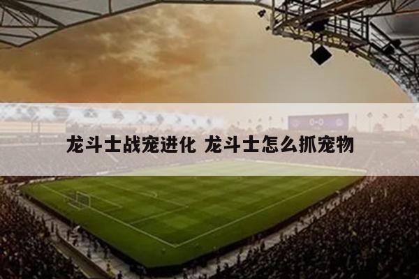 龙斗士战宠进化 龙斗士怎么抓宠物