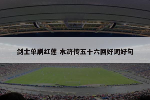 剑士单刷红莲 水浒传五十六回好词好句