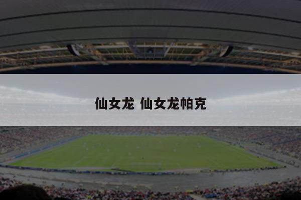 仙女龙 仙女龙帕克