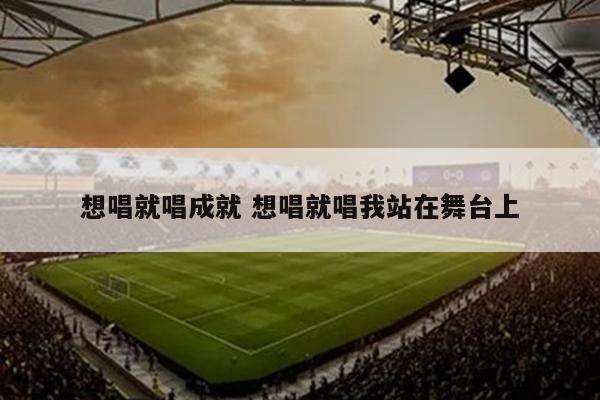 想唱就唱成就 想唱就唱我站在舞台上