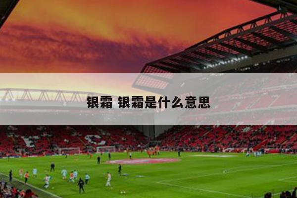 银霜 银霜是什么意思