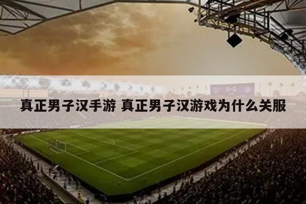 真正男子汉手游 真正男子汉游戏为什么关服