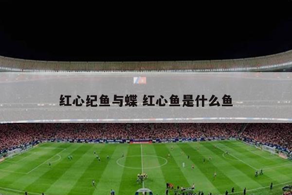 红心纪鱼与蝶 红心鱼是什么鱼