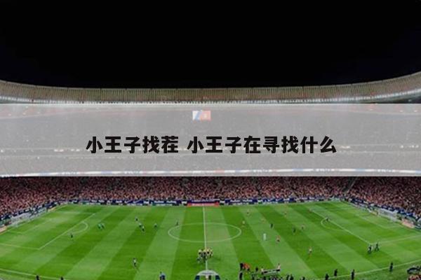 小王子找茬 小王子在寻找什么