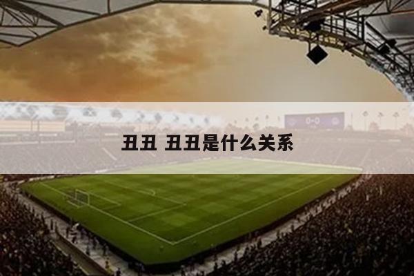 丑丑 丑丑是什么关系
