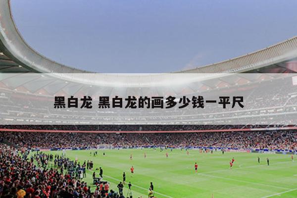 黑白龙 黑白龙的画多少钱一平尺