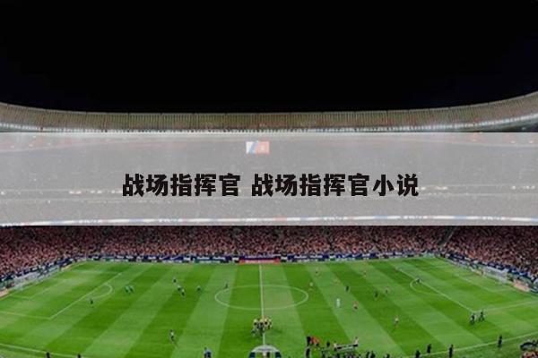 战场指挥官 战场指挥官小说