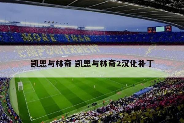 凯恩与林奇 凯恩与林奇2汉化补丁
