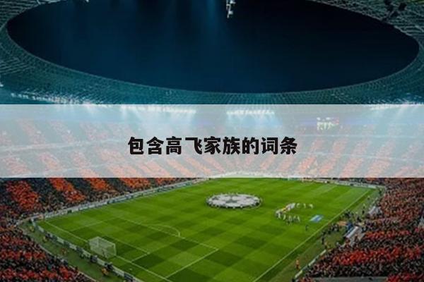包含高飞家族的词条